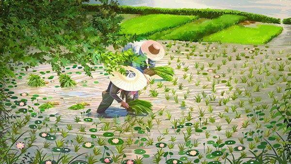 芒种