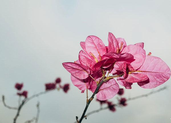 但总之就是夫妻不和谐，别人才会趁虚而入