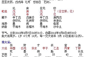 2018年9月3日出生温姓男宝宝起名 温该果