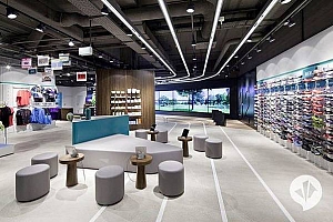 为什么公司起名要看法人生辰八字?