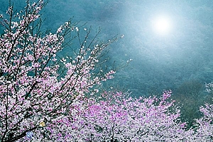 建禄格行运不济出身清寒,财官即位自创事业功成名就