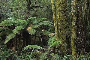 2018年6月15中午12点47分出生浙江男宝宝起名 卢泓森