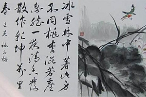 荆州罗姓女宝宝起名案例分享,八字伤官高透,起名罗林春