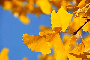 八月出生的乙木男宝宝起名吕辛奕阳,秋气肃杀寒木期待暖阳