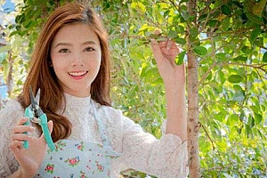 3月14日出生四川眉山女孩起名张莹琇:焕焕衔莹琇