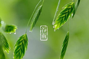 2020谷雨好听的男女宝宝名字推荐,谷雨日干支分析及民间习俗详解
