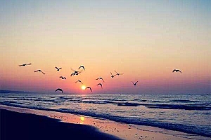 2020年6月19日出生昆明陈姓女宝宝起名陈漫夕:平海夕漫漫