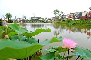 山西阳泉苏姓女宝宝起名苏冰露:玉碗冰寒滴露华