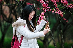 昭通何姓男宝宝起名何旺桃:一代长寿高贵,二代桃李天下