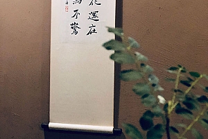 八字实例分析:伤官格财官印相合相绊,大运相辅相成的男命