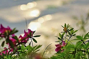 山西运城王姓女宝宝起名王沐蕙:沐蕙气浴兰汤