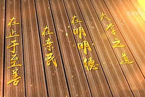 相对小众的让人惊艳的名字:舍我其谁、还我河山、水木清华