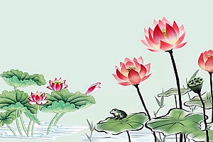 宝宝起名:清新脱俗、出淤泥而不染的女孩名字