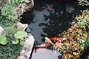 八字实例分析:官星合身而身弱的正官格男命,职场压力重重