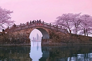 八字实例分析:官杀旺而混杂的女命,无限夕阳在黄昏