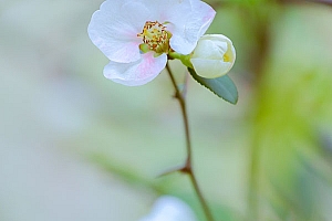 八字实例分析:财多身弱的乙木女命,困难重重身体差