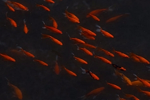 八字实例分析:空有发财欲望却大运受阻,赚钱本来就没有捷径