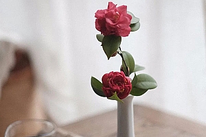 八字实例分析:偏财格透财却投机亏损,土重木折经常伤筋动骨