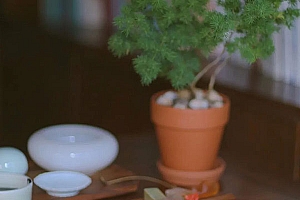 八字实例分析:食神格七杀多又有财生,困境重重财运差