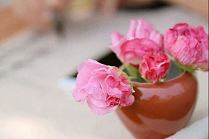 2022年婚姻运分析