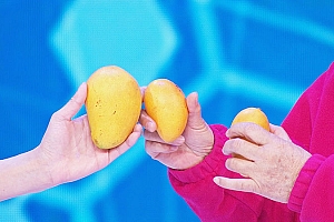 八字看肾病的一些方法