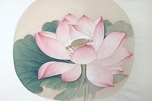 枭神夺食的吉凶看法