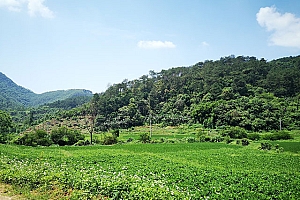 改名需要一个过程,我们更需要自信和坚持