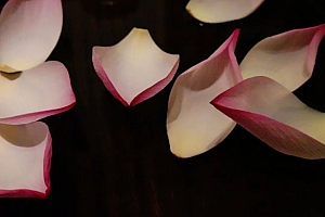 八字看胖瘦的一些方法