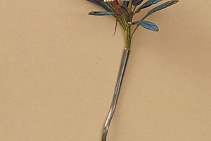 八字实例分析:食神旺相无财星的女命,常犯偏头疼心还累