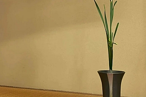 八字失恋原因的一些看法