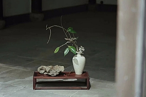 从财星看金钱态度和去向