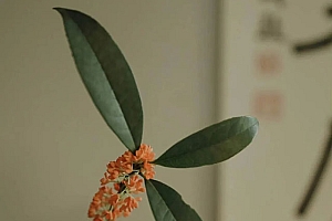 八字实例分析:子月缺火暖局生身的女命,先经钱难后经情难