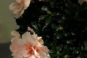 八字实例分析:正印格七杀旺早年受挫,中晚年财运好的男命