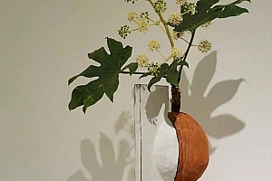 八字实例分析:财重身弱阴寒的女命,一丙以向阳