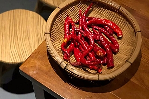 八字实例分析:木火通明比劫成群,女命感情折磨消耗