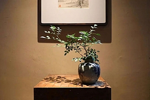 八字缺某一五行的特点