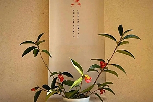 八字实例分析:丁火从财格男命,三个酉多忧少乐