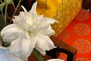 八字实例分析:千金难买家中幸,万银不酬心中福