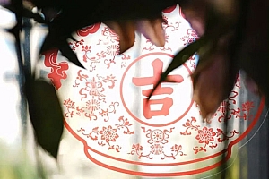 八字实例分析之糖尿病女命发问:研究命理会改变因果吗?