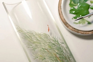 八字实例分析:三个财星贴身的女命,改名后对运势有帮助吗