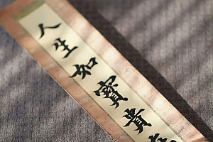 八字实例分析:食伤混杂夫宫伏吟的女命,婚姻失败工作压抑