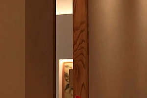 八字实例分析:丁酉日贵建禄格女命,门门通不如一门精