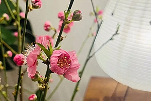 易有心理疾病的一些八字组合