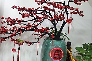 孩子姓名会影响父母运势吗?