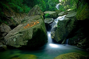 泰州姜堰沙姓女孩起名沙净雨:松间沙路净无泥,萧萧暮雨子规啼