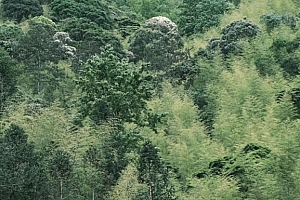 八字实例分析:丑未戌三刑逢冲,自卑到极点的男命