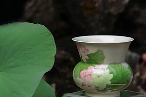 八字实例分析:建禄专禄假从旺,大运反背没主张