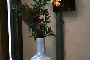 八字实例分析:日坐伤官多才多艺的天才,一把好牌打得稀碎郁郁寡欢