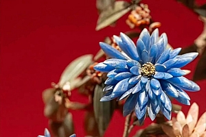 八字实例分析:乙木七杀格制化两立,消极自卑身患恶疾