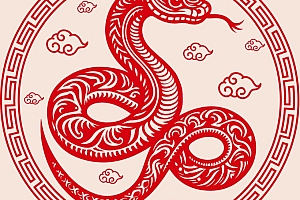 简评乙巳流年运气(丙日主)